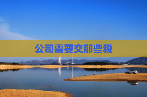 公司需要交那些税