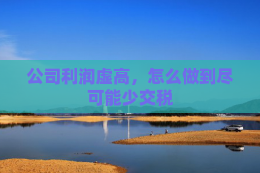 公司利润虚高，怎么做到尽可能少交税